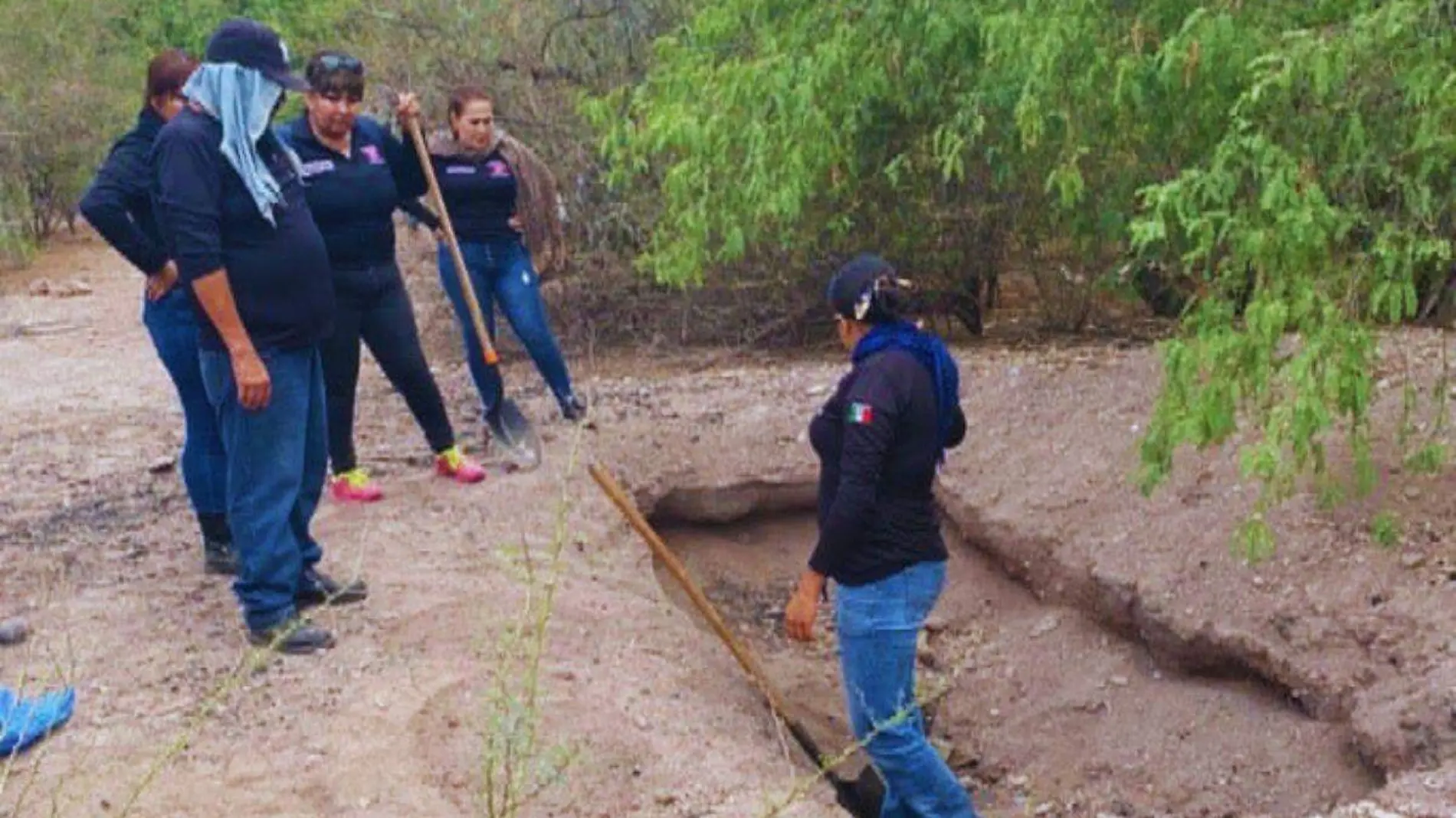 Bucadoras en Cajeme